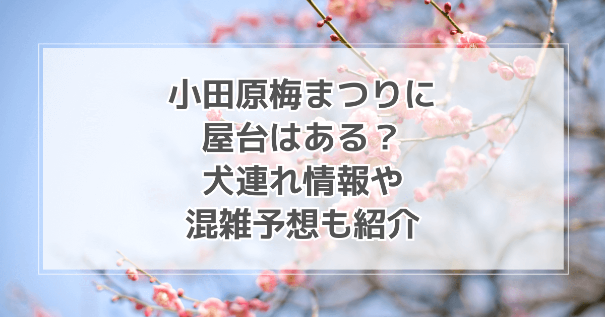 小田原梅まつり曽我梅林の見どころは？屋台や駐車場情報も紹介