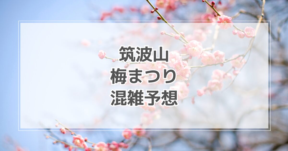 筑波山梅まつり混雑予想！駐車場情報や犬連れで行く際の注意点も紹介