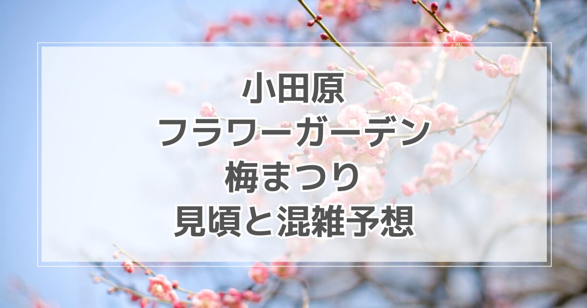 小田原フラワーガーデン梅まつりの見頃や混雑状況は？犬連れや駐車場情報も
