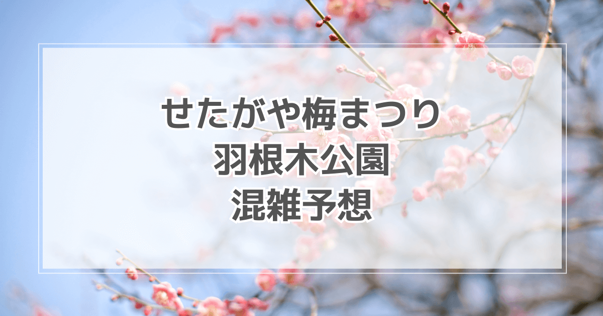 世田谷羽根木公園梅まつりの混雑予想！出店・駐車場情報も紹介