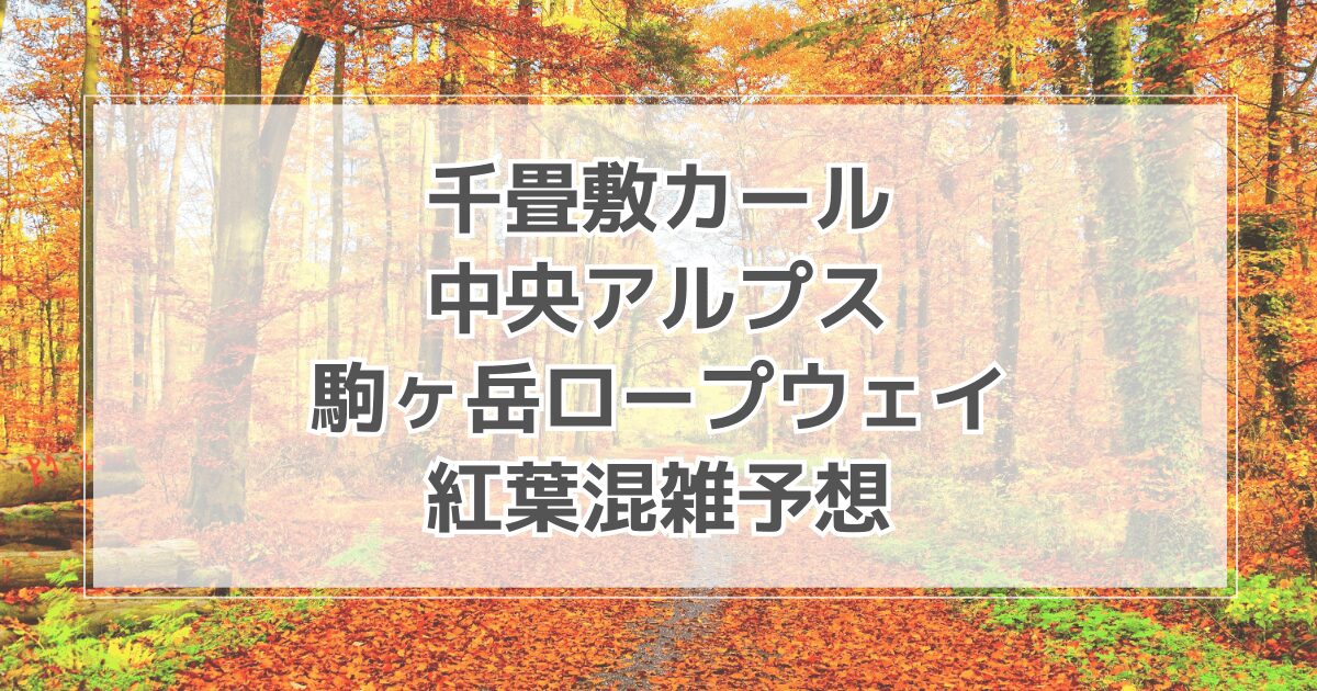 千畳敷カール(中央アルプス駒ヶ岳ロープウェイ)紅葉の混雑予想2025！駐車場情報も紹介