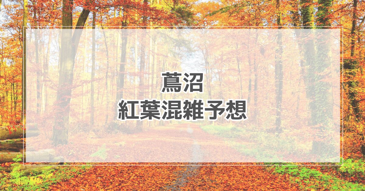 蔦沼紅葉の混雑予想2025！駐車場や予約・ライブカメラ情報も紹介
