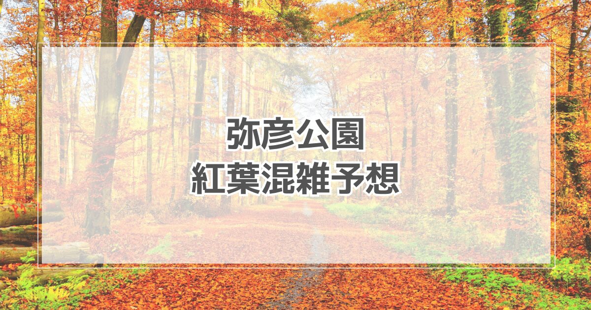 弥彦公園紅葉の混雑予想2025！ライトアップや駐車場情報も紹介